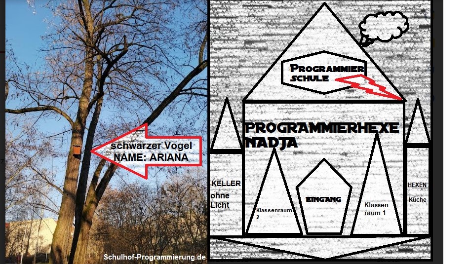 Programmierhexe Nadja Programmieren für anfänger auf schulhof-programmierung.de