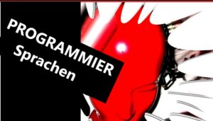 programmiersprache- schulhof-programmieren 